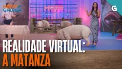 Realidade virtual: a MATANZA | HORA GALEGA