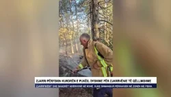 Zjarri përfshin kurorën e Pukës, dyshime për zjarrvënie të qëllimshme