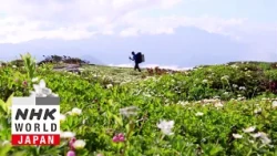 Vanishing Alpine Meadows - IMPACTS: Climates Change the World
