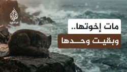 من رحم العواصف.. كيف تنجو صغار الحيوانات من الجوع والغرق؟