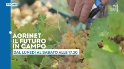 Agrinet, Monday to Saturday at 5:30 PM on TV2000