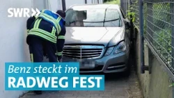 Der Bodensee-Radweg: Ein Ort der Brutalität