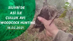 WOODCOCK HUNTING AV ZAMANI ASİ İLE BAŞBAŞA ÇULLUK AVI