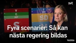 Fyra scenarion: Så kan en ny regering bildas