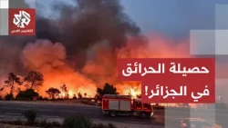 Wildfires ravage forests and claim lives.. What is happening in Algeria?