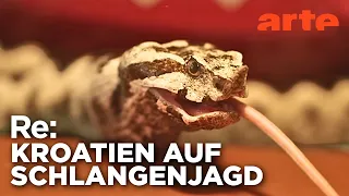 Giftschlangen an der Adria | ARTE Re: Reupload
