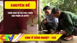 KINH TẾ NÔNG NGHIỆP 15-8-2026 | GIẢI PHÁP NÂNG CAO CHẤT LƯỢNG TÔM GIỐNG