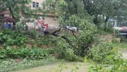 China: Typhoon Noul downgraded to tropical depression