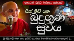 සිත් නිවෙන බුදුගුණ සුවය  | මහමෙව්නාව අසපුව - උයන්දන | Ven. Ankubure Amithadeepa Thero