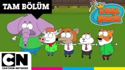 Hızını Alamayan Halay | KRAL ŞAKİR | TAM BÖLÜM | @cartoonnetworkturkiye