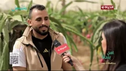 أهل بلدنا -  صعوبات زراعة الفاكهة الأستوائية على الأراضي المصرية يكشفها المزارعين