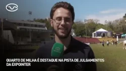 Quarto de milha é destaque na pista de julgamentos da Expointer
