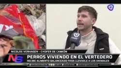 A Bariloche resident collects food for the dogs at the landfill