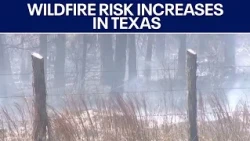 Texas wildfires: Several counties issue burn bans as risk increases | FOX 7 Austin