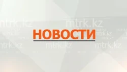 MTRK News 08/11/2026