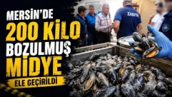 200 kilos of spoiled mussels seized in Mersin @Kanal33mersin