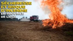 Weekly News: Wildfire risk, drought, and health in the Liège Province