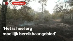 This is what the nature reserve near Venray looks like after the fire