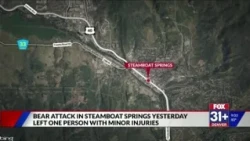 CPW investigating bear attack in Steamboat Springs, 8th this year