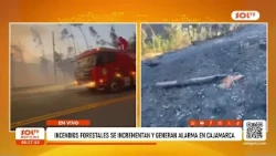 Cajamarca: Wildfires spiral out of control