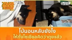 โบ้นอนหลับยังไง ให้ทั้งโซเชียลคิดว่าตุยแล้ว (21 ต.ค. 69) | แซ่บทูเดย์