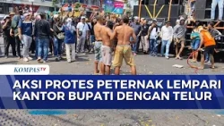Protesting Falling Egg Prices, Farmers in Pati Throw Eggs at the Regent's Office | JURNAL NUSANTARA