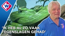 Varanen, slangen en krokodillen: reptielenzoo gaat na jaren wachten eindelijk open