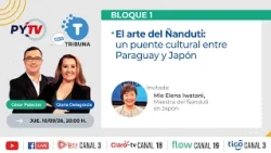 The Art of Ñandutí: A Cultural Bridge Between Paraguay and Japan