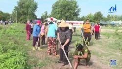Tay Ninh maintains its forest resources