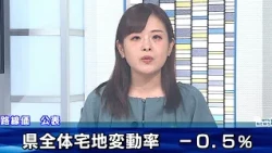 Land Prices Fall for 34th Consecutive Year: Wakayama Prefecture's Official Land Value Standards