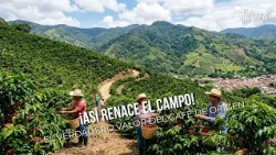 How the Countryside Reborn! The True Value of Single-Origin Coffee ☕🌾- TvAgro by Juan Gonzalo Angel