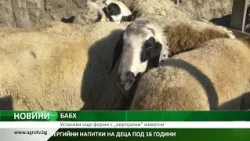 БАБХ: Установи още ферми с „виртуални“ животни