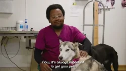 Pet Tips | Post-Surgery Care