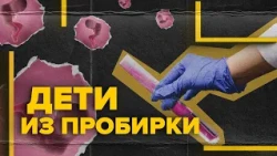 Первые дети из «пробирки». Насколько сейчас популярно ЭКО и заморозка яйцеклеток.  Репродукция