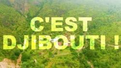 C’EST DJIBOUTI ! 🇩🇯 | DITTILOU APRÈS LA PLUIE, UN PAYSAGE VERDOYANT 🌿