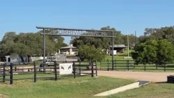 Boerne horse ranch seeks volunteers after flood causes up to $1 million in damage
