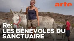 Tenerife : le refuge des amoureux des bêtes | ARTE Regards