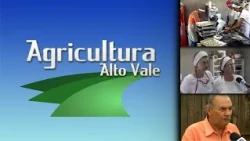 Alto Vale Agriculture 2009: Aurora farmers turn produce into bakery