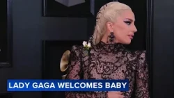 Lady Gaga welcomes first child