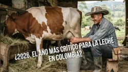 Is 2026 the Most Critical Year for Milk in Colombia? 🥛🚨 - TvAgro by Juan Gonzalo Angel