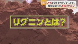 A New Plastic Alternative Made from "Cedar" in Kihoku, Ehime! "Modified Lignin"