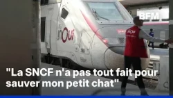 Her cat escapes under a train, the TGV leaves anyway and kills it