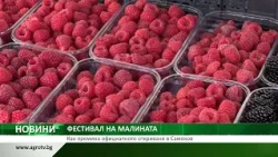 ФЕСТИВАЛ НА МАЛИНАТА: Как премина официалното откриване в Самоков