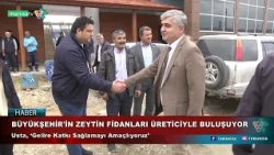 BÜYÜKŞEHİR'İN ZEYTİN FİDANLARI ÜRETİCİYLE BULUŞUYOR