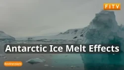 British Antarctic Survey Set Out Impacts For South Atlantic Of Breaking Ice