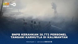 BNPB Kerahkan 38.772 Personel Tangani Karhutla Di Kalimantan