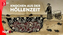 Die schlimmste Pandemie der Geschichte: Der Erreger ist noch da | NANO