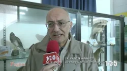 Pagine 105TV Salvatore Iannuzzi Sept 10