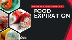 When does food actually spoil?