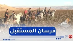 من عمق الجزائر / برج بوعريريج : خيول اليشير  ..  موروث أصيل يصنع فرسان المستقبل